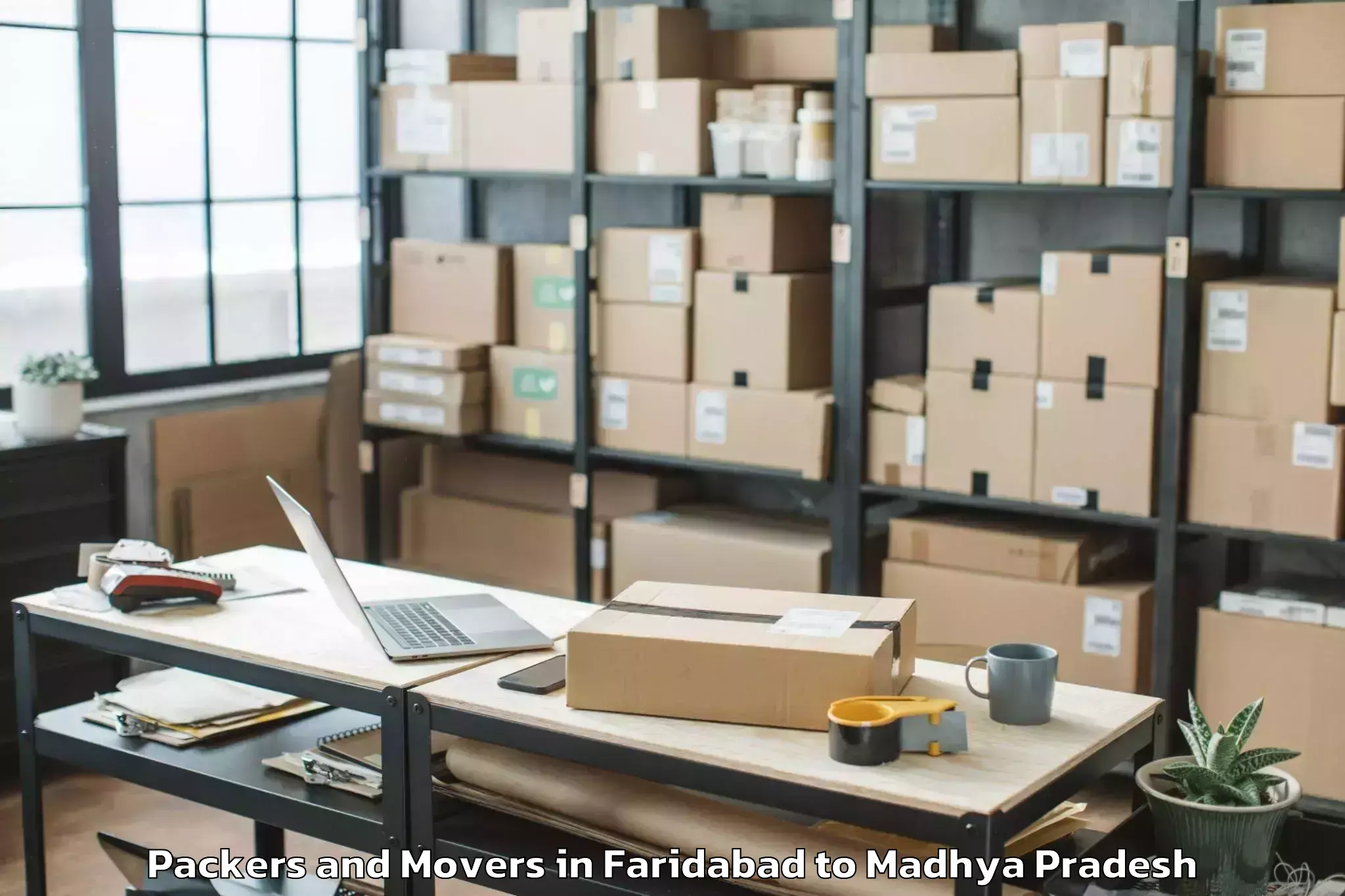 Expert Faridabad to Jaora Packers And Movers